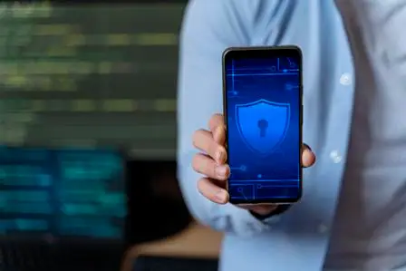 Consultoría en Protección de Datos. Gestión del servicio integral de protección de datos personales y buenas prácticas de seguridad. RGPD, LOPDGDD, LSSI. Delegado de Protección de Datos.
