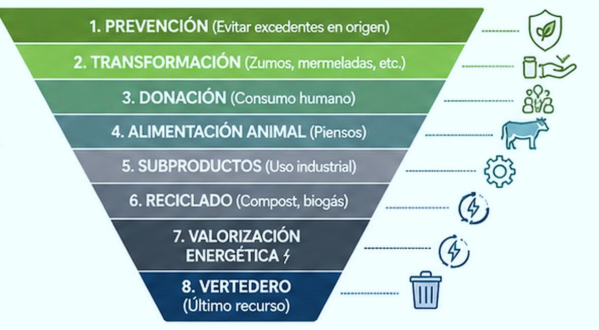Jerarquía Ley 1/2025